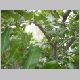 PICT0042.jpg
