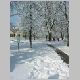 snowscape1.jpg