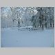 snowscape5.jpg