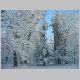 snowscape7.jpg