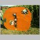pumpkinpatch27.jpg