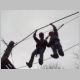commotioninmotion2010031.jpg