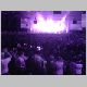 crowd.html